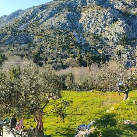 Apartament Sun